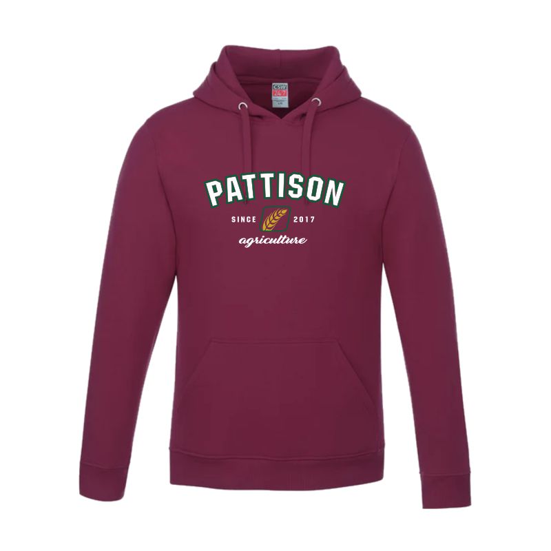 Adult Vault Pullover Hooded Sweatshirt